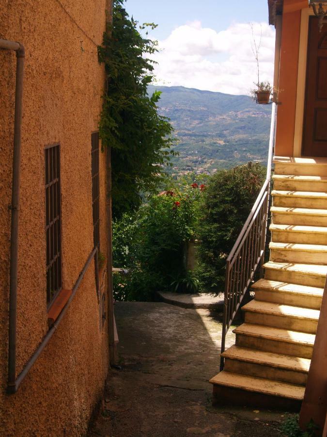 B&B Mamma Elena Rovito Exterior foto